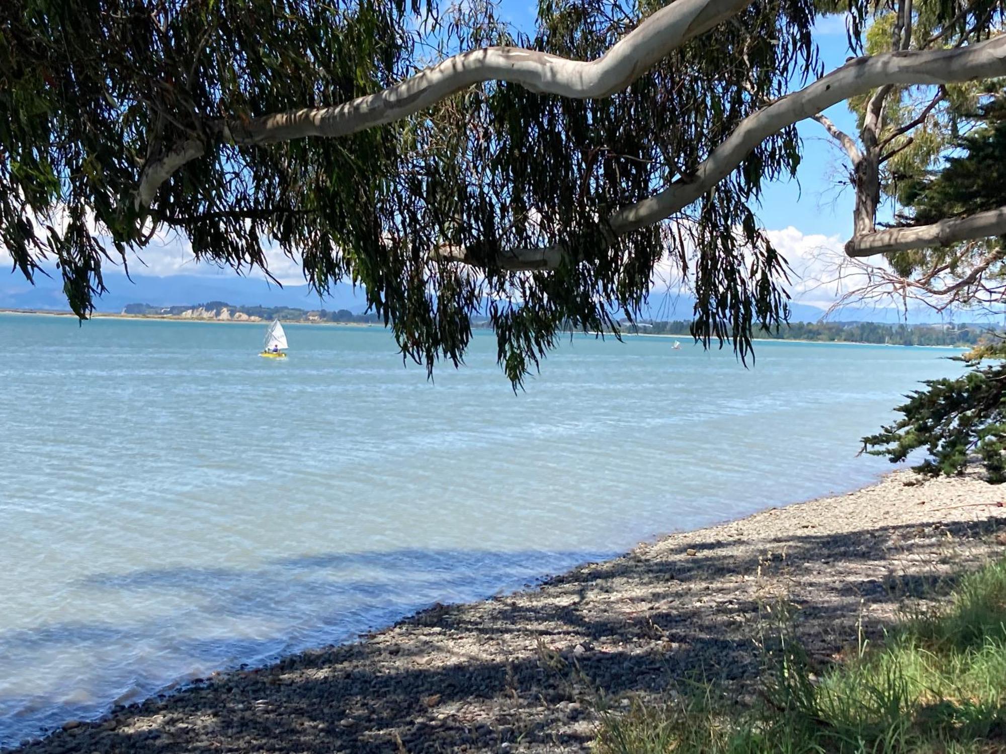 Modern, Sunny, Central Motueka Extérieur photo